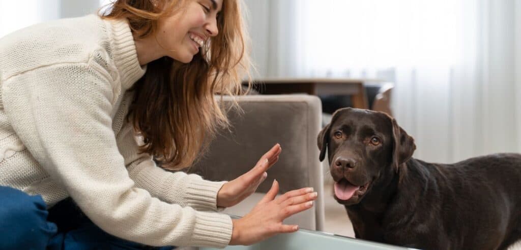 Using Membership Data to Improve Service Quality