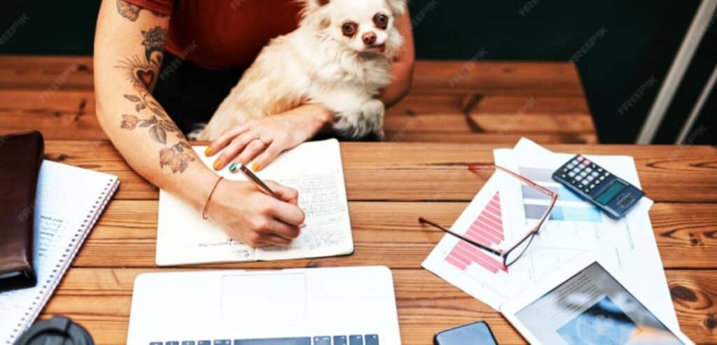 Add-On Packages That Increase Lifetime Value