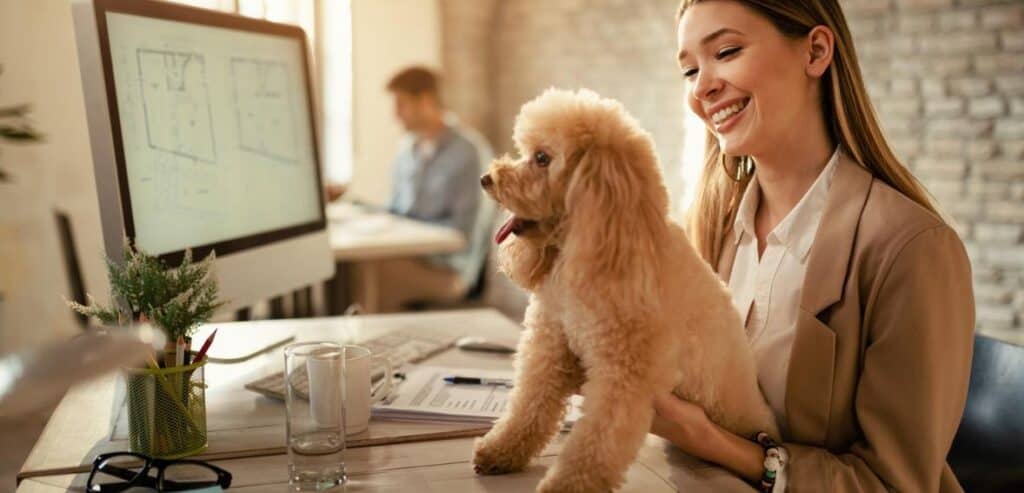 Customer Communication and Policies